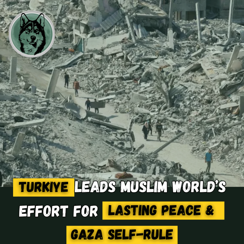 Turkiye Leads Muslim World’s Effort for Lasting Peace and Gaza Self-Rule