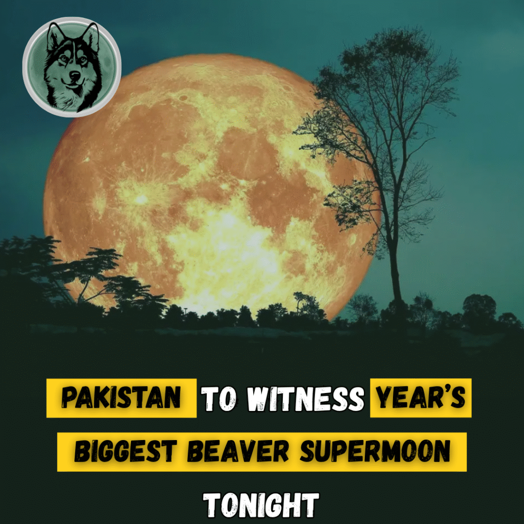 Pakistan to witness year’s biggest Beaver Supermoon tonight