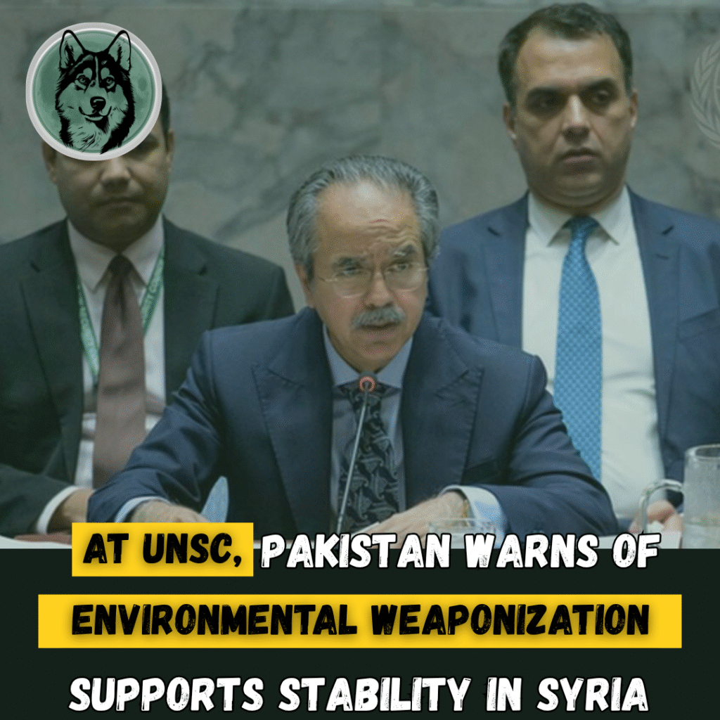 At UNSC, Pakistan Warns of Environmental Weaponisation, Supports Stability in Syria