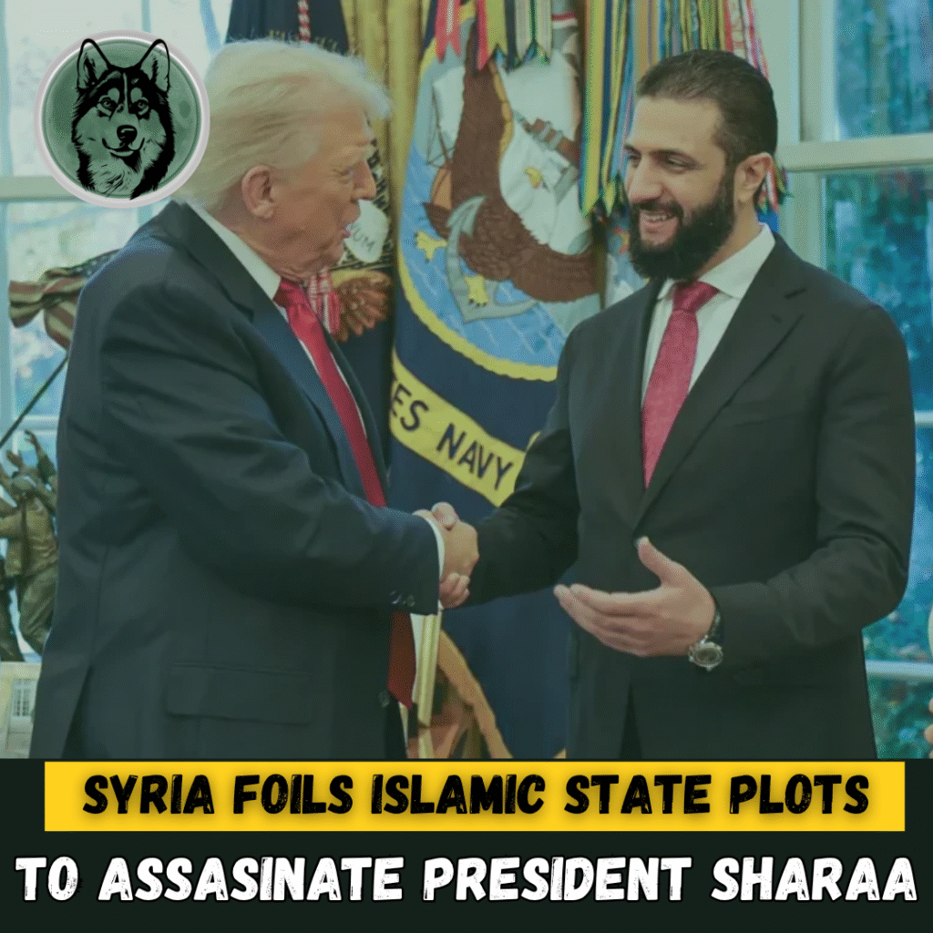 Syria Uncovers IS Assassination Plans Ahead of Sharaa–Trump Meeting