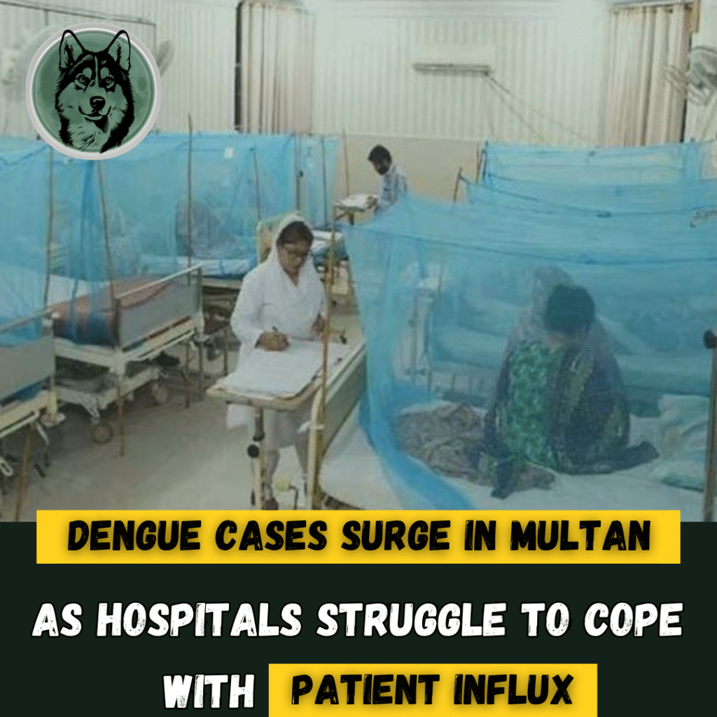 Dengue Cases Surge in Multan as Hospitals Struggle to Cope with Patient Influx