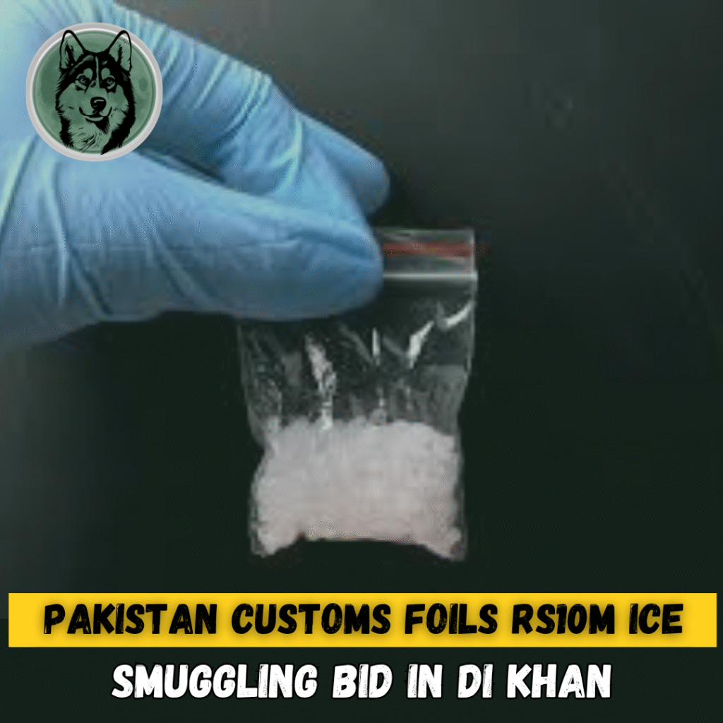 Pakistan Customs Foils Rs910m Ice Smuggling Bid in Dera Ismail Khan