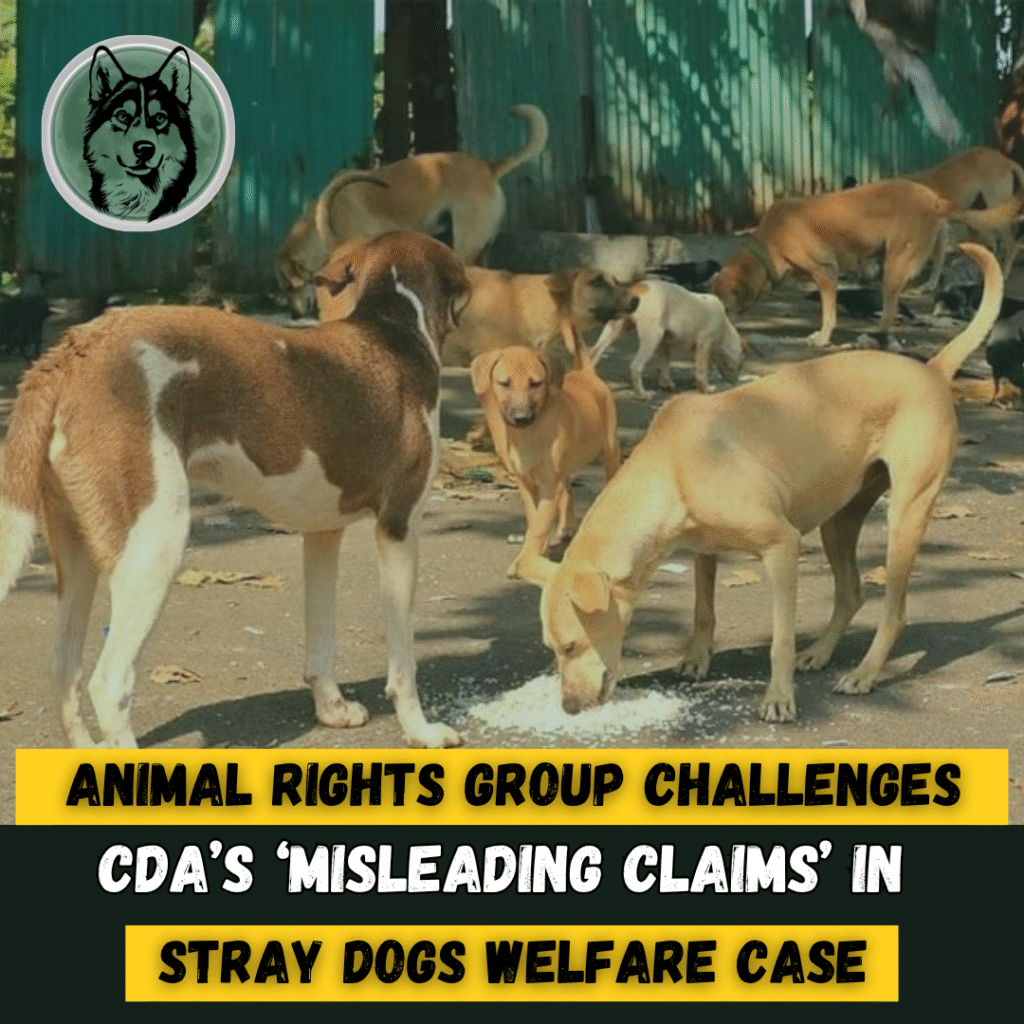 Animal Rights Group Challenges CDA’s ‘Misleading’ Claims in Dog Welfare Case