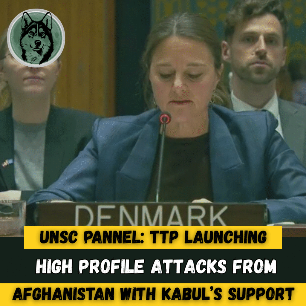 UNSC Panel: TTP Launching High-Profile Attacks from Afghanistan With Kabul’s Support