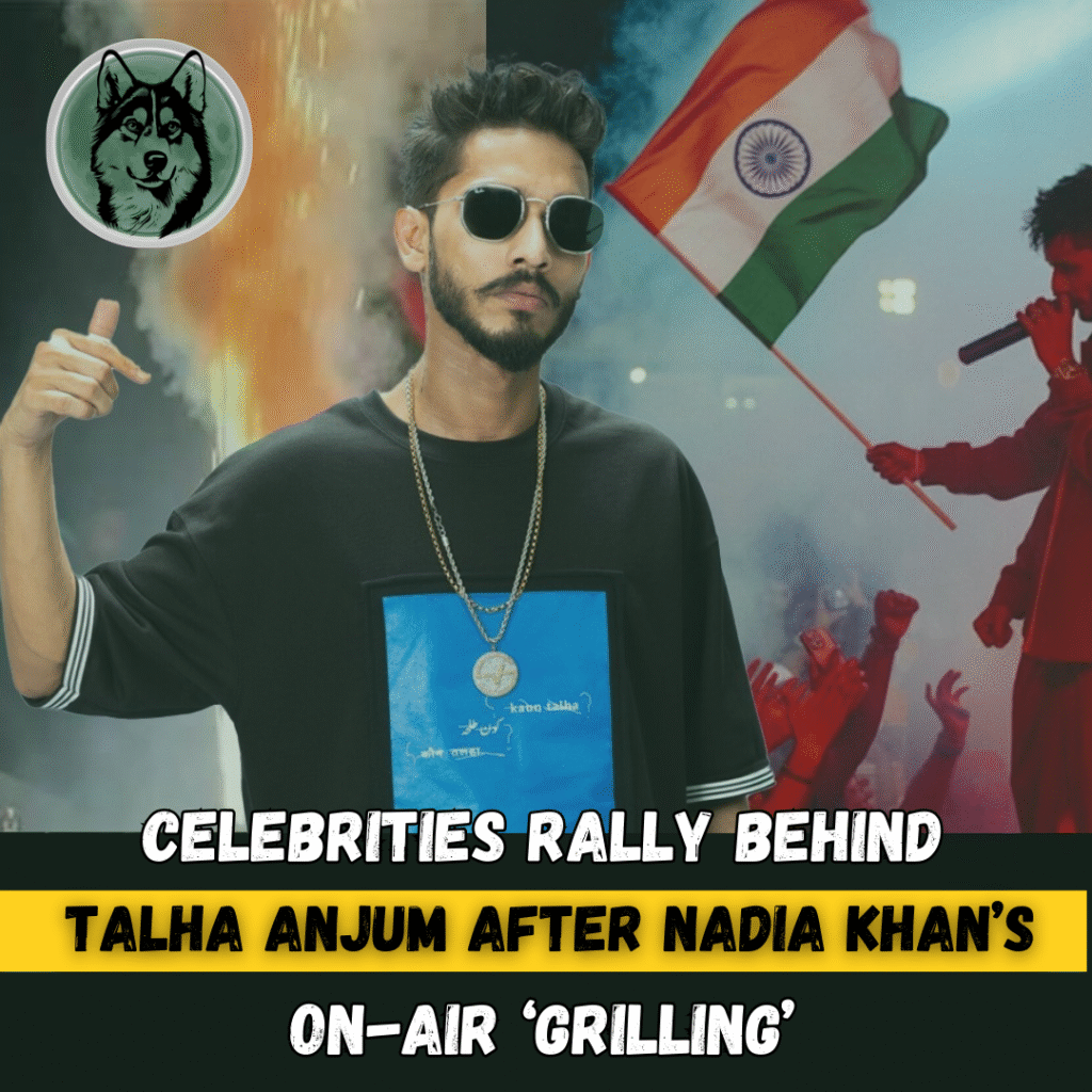 Celebrities Rally Behind Talha Anjum After Nadia Khan’s On-Air ‘Grilling’