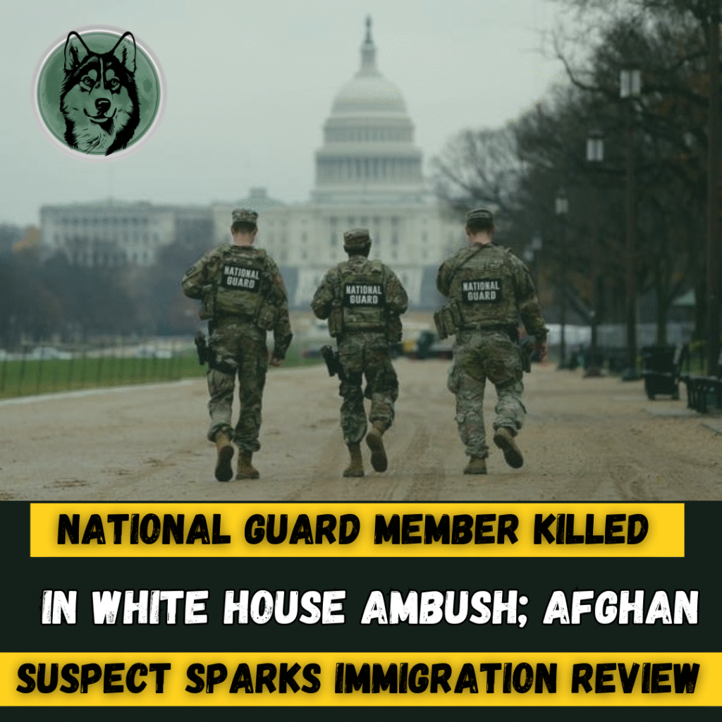 National Guard Member Killed in White House Ambush; Afghan Suspect Sparks Immigration Review