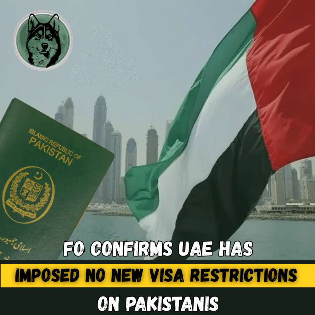 FO Confirms UAE Has Imposed No New Visa Restrictions on Pakistanis