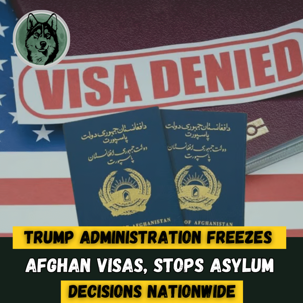 Trump Administration Freezes Afghan Visas, Stops Asylum Decisions Nationwide
