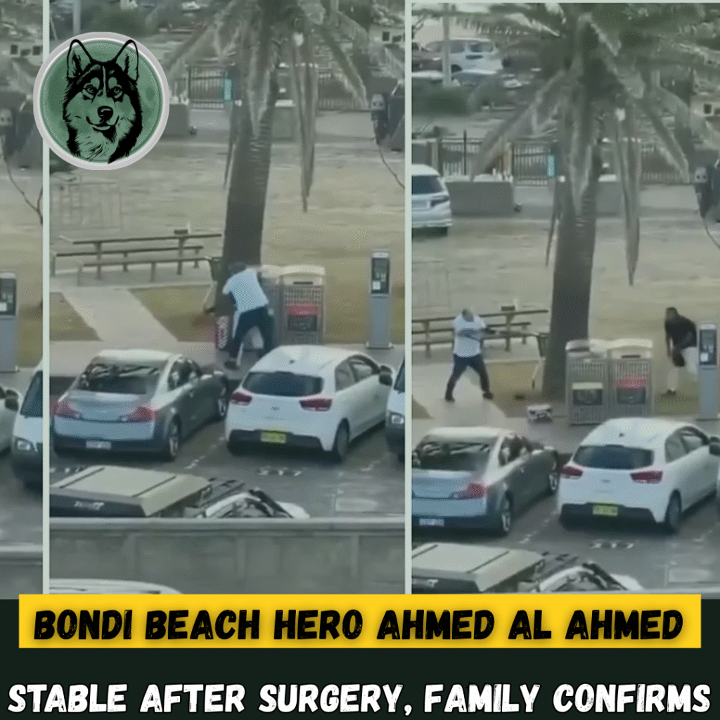 Bondi Beach Hero Ahmed al Ahmed Stable After Surgery, Family Confirms