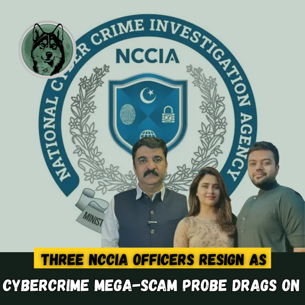 Three NCCIA Officers Resign as Cybercrime Mega-Scam Probe Drags On