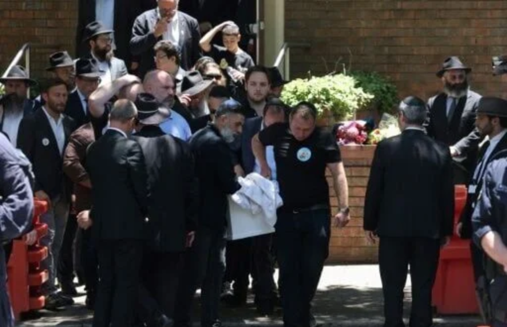 Wolf Times Pictures 20251218T181023085 Wolf Times