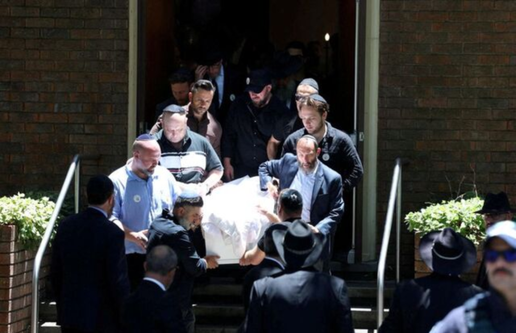 Wolf Times Pictures 20251218T181058340 Wolf Times