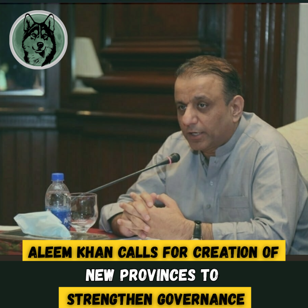 Aleem Khan Calls for Creation of New Provinces to Strengthen Governance