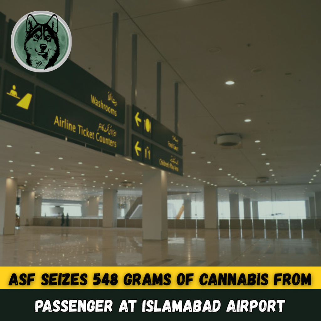 ASF Seizes 548 Grams of Cannabis from Passenger at Islamabad Airport
