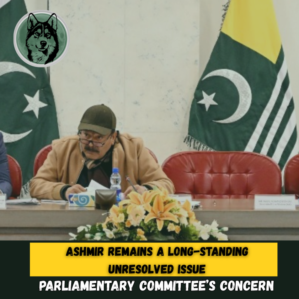 Parliamentary panel terms Kashmir a long-standing unresolved issue of the subcontinent
