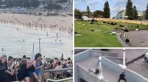 images 20 Wolf Times