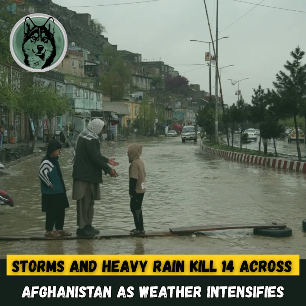 Storms and Heavy Rain Kill 14 Across Afghanistan as Deadly Weather Intensifies
