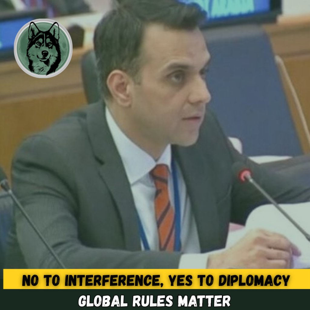 Pakistan addresses the UN Security Council